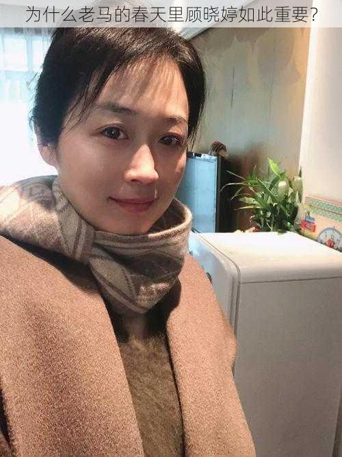 为什么老马的春天里顾晓婷如此重要？