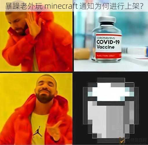 暴躁老外玩 minecraft 通知为何进行上架？