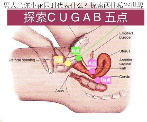 男人亲你小花园时代表什么？探索两性私密世界