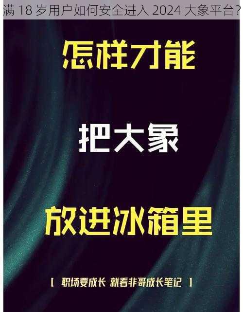 满 18 岁用户如何安全进入 2024 大象平台？