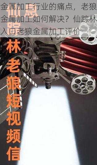 金属加工行业的痛点，老狼金属加工如何解决？仙踪林入口老狼金属加工评价