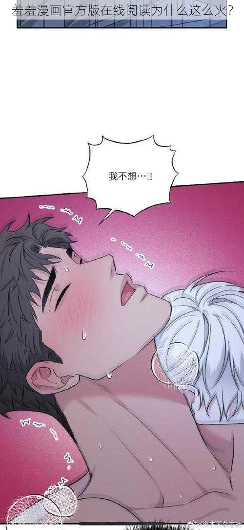 羞羞漫画官方版在线阅读为什么这么火？