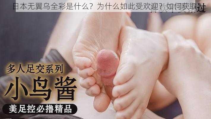 日本无翼乌全彩是什么？为什么如此受欢迎？如何获取？