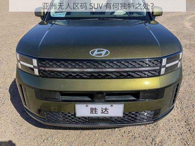 亚洲无人区码 SUV 有何独特之处？