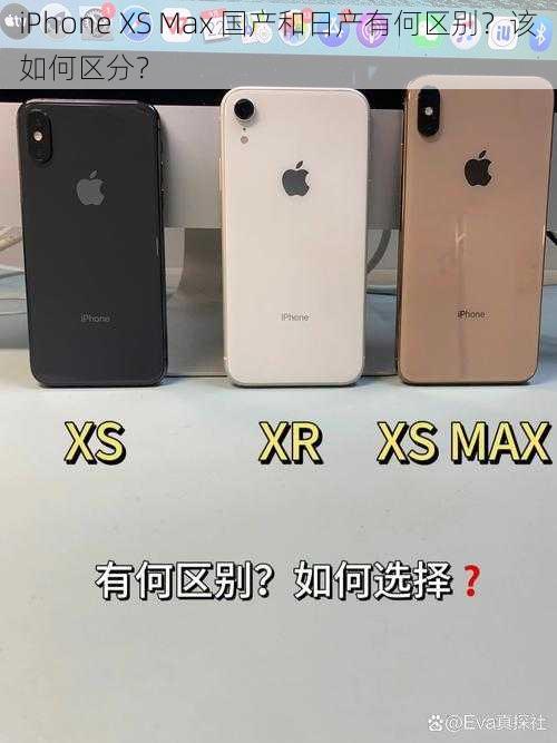 iPhone XS Max 国产和日产有何区别？该如何区分？