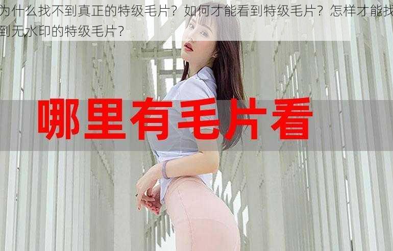 为什么找不到真正的特级毛片？如何才能看到特级毛片？怎样才能找到无水印的特级毛片？