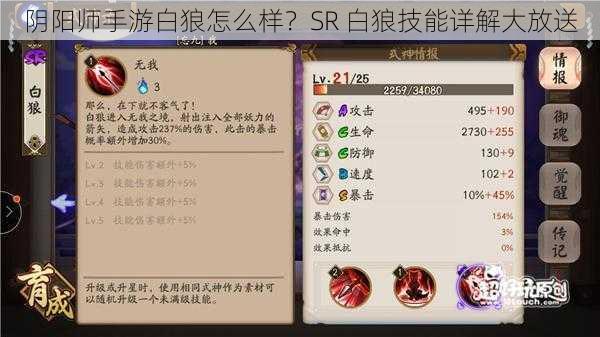 阴阳师手游白狼怎么样？SR 白狼技能详解大放送