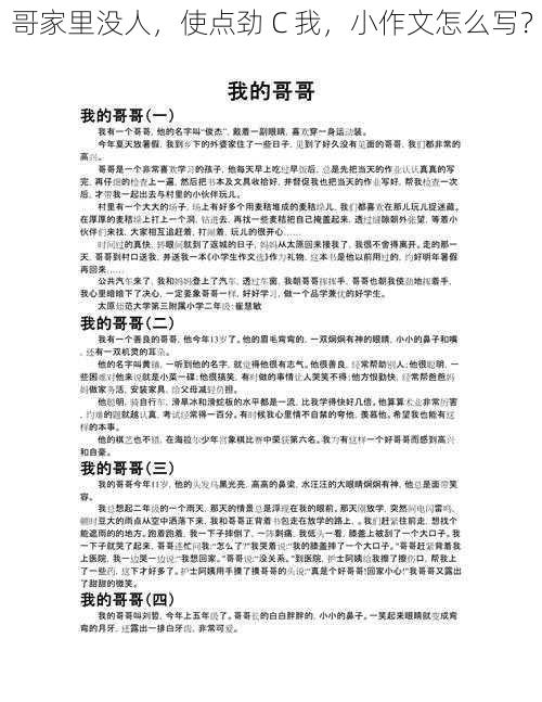 哥家里没人，使点劲 C 我，小作文怎么写？