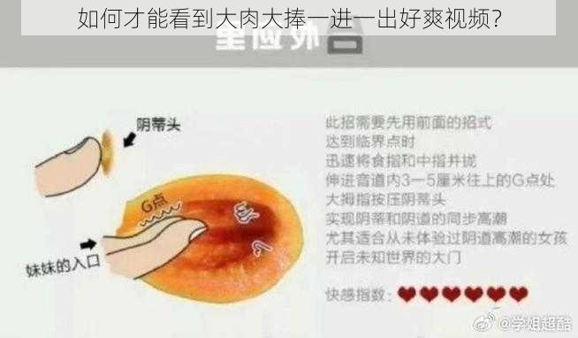 如何才能看到大肉大捧一进一出好爽视频？