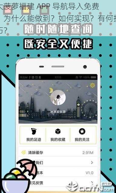 大菠萝福建 APP 导航导入免费，为什么能做到？如何实现？有何技巧？