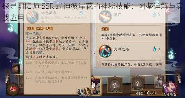 探寻阴阳师 SSR 式神彼岸花的神秘技能：图鉴详解与实战应用