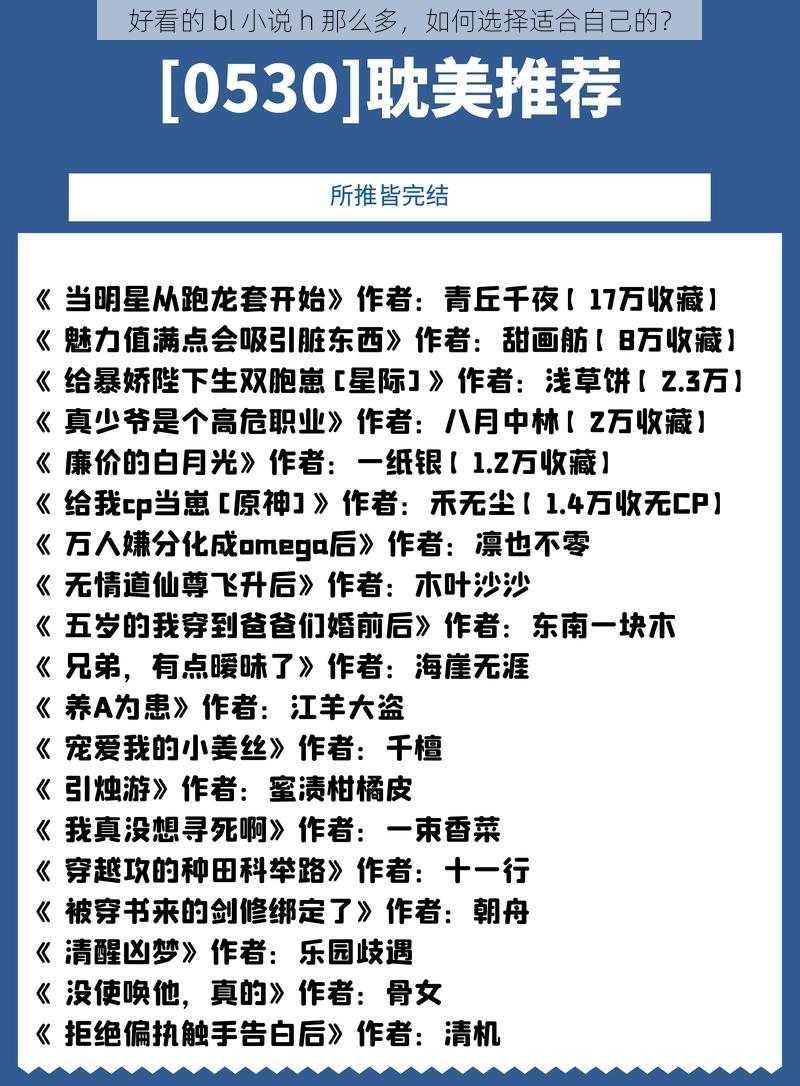 好看的 bl 小说 h 那么多，如何选择适合自己的？