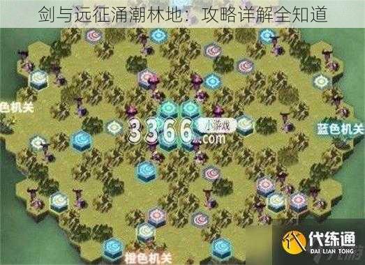 剑与远征涌潮林地：攻略详解全知道