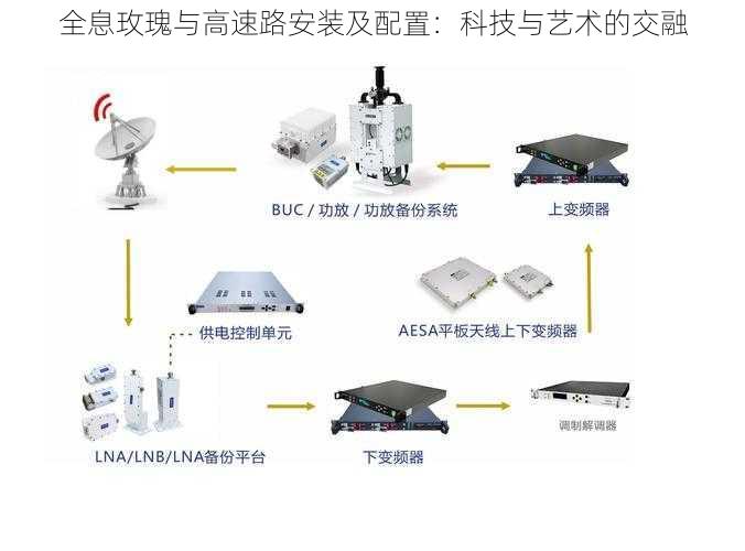 全息玫瑰与高速路安装及配置：科技与艺术的交融