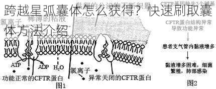 跨越星弧囊体怎么获得？快速刷取囊体方法介绍