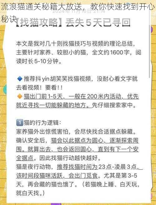 流浪猫通关秘籍大放送，教你快速找到开心秘诀