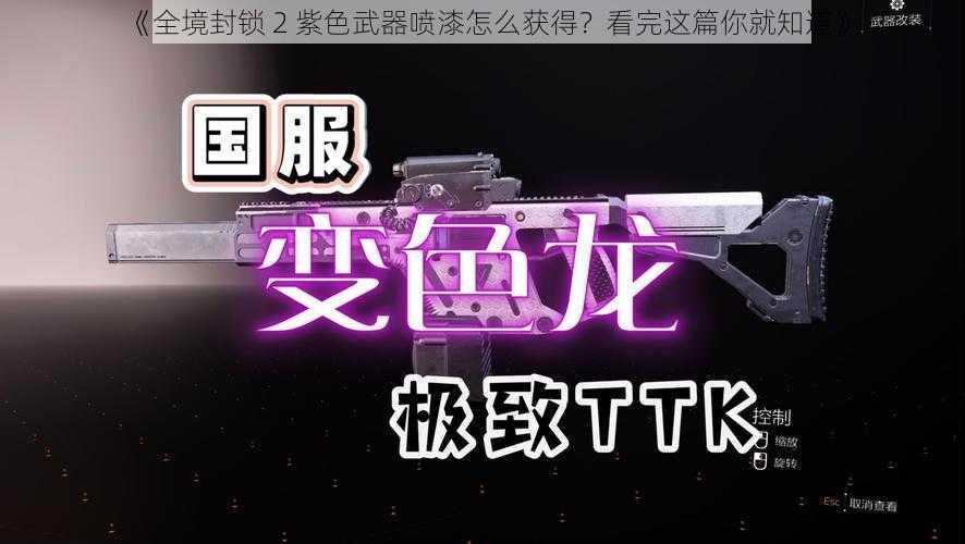 《全境封锁 2 紫色武器喷漆怎么获得？看完这篇你就知道》