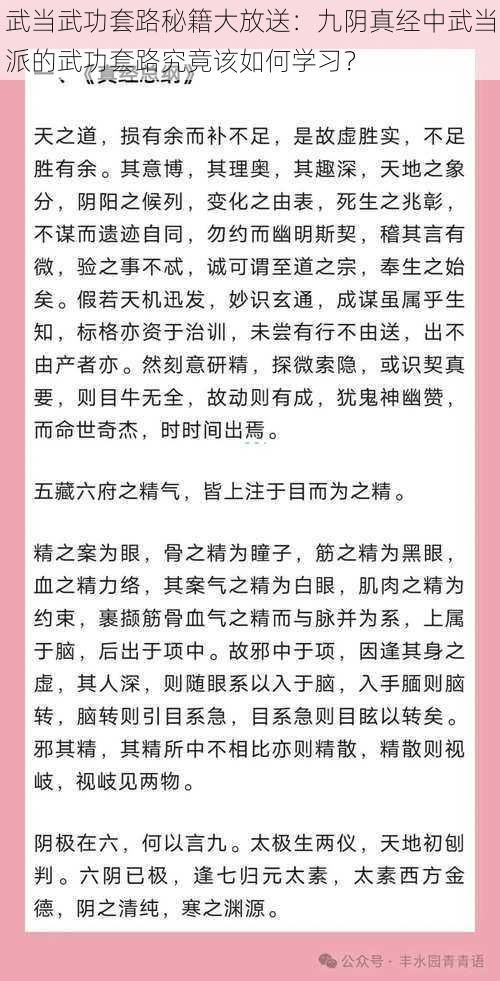 武当武功套路秘籍大放送：九阴真经中武当派的武功套路究竟该如何学习？