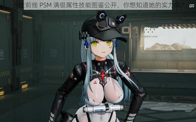 少女前线 PSM 满级属性技能图鉴公开，你想知道她的实力吗？