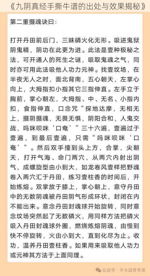 《九阴真经手撕牛谱的出处与效果揭秘》