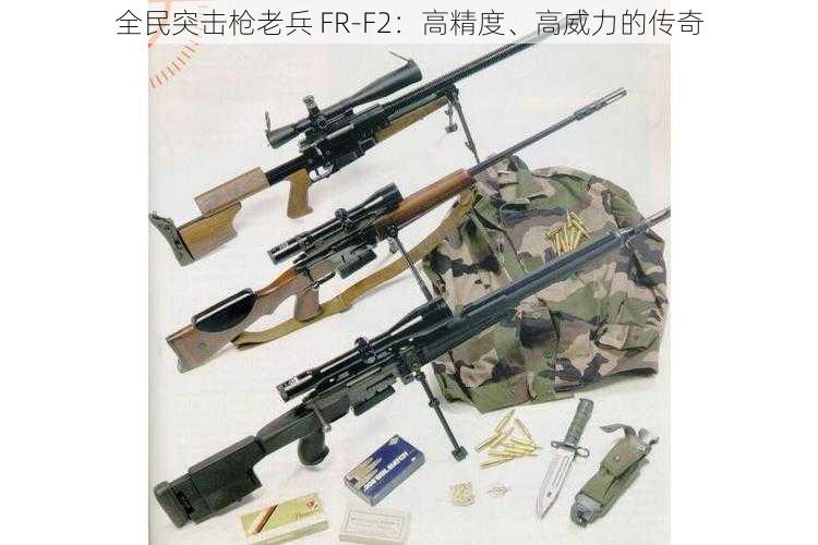 全民突击枪老兵 FR-F2：高精度、高威力的传奇