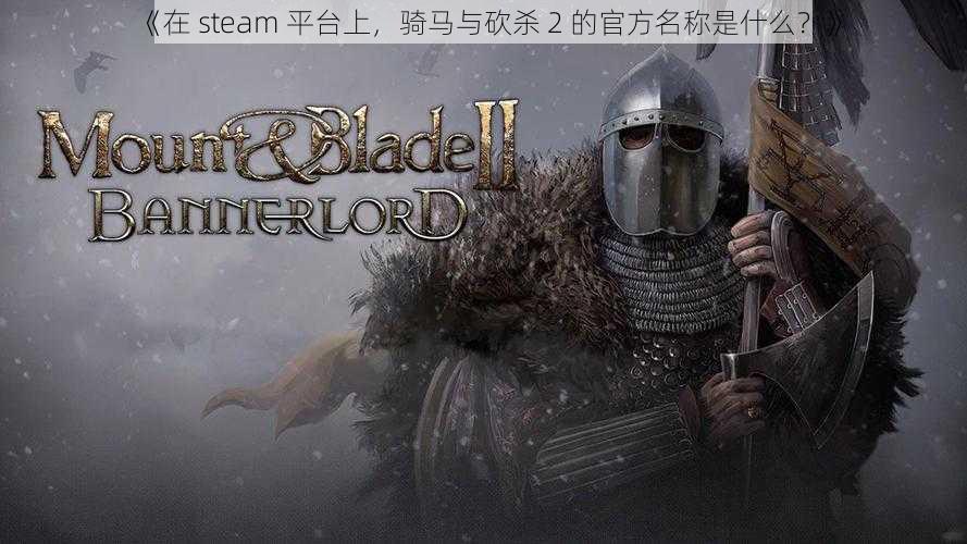 《在 steam 平台上，骑马与砍杀 2 的官方名称是什么？》